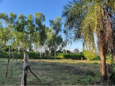 Terreno à venda em Presidente Franco, Alto Paraná 5