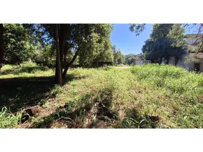 Terreno à venda em Primer Barrio, Luque 4