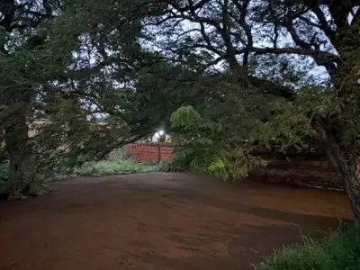 Terreno à venda no Primer Bo., Luque, Central 4