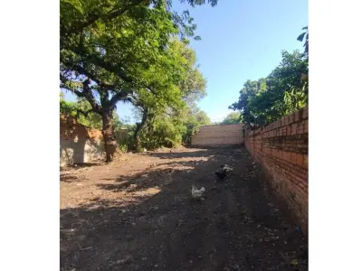 Terreno à venda no Primer Bo., Luque, Central 5