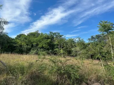 Terreno en venta en Puerta del Lago, San Bernardino 2