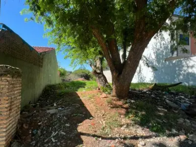 Terreno en venta en Puerto Pabla, Lambaré 3
