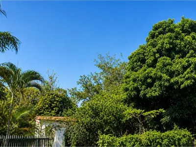 Land for sale in Rincón del Peñón, Limpio 4