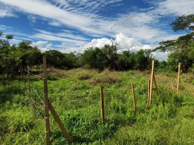 Terreno à venda em Rincón Loma-I, Guarambaré 2