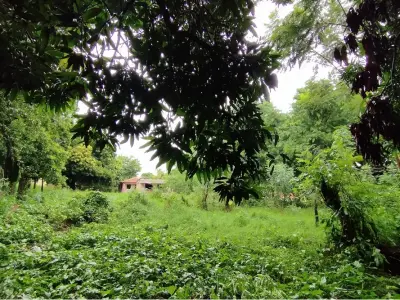 Terreno à venda em Rincón, Ñemby 4