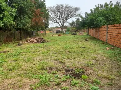 Land for sale in Salado, Limpio 5