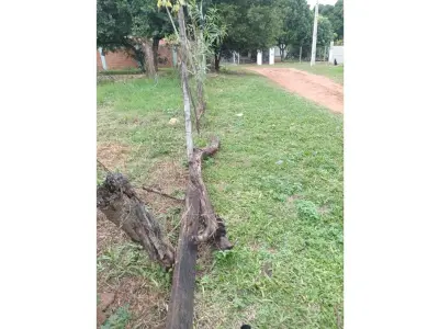 Terreno à venda em San Antonio, Central 4