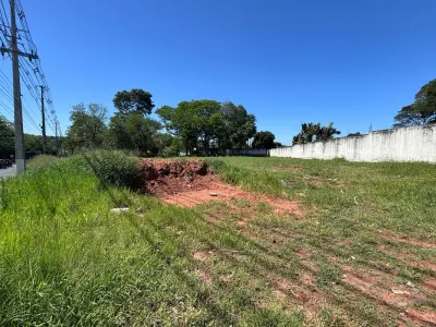 Terreno à venda em San Antonio, Central 4