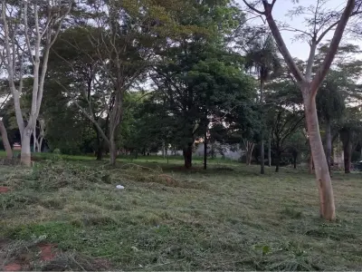 Terreno à venda em San Antonio, Central 3