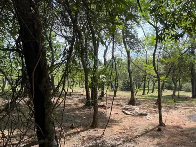 Terreno à venda em San Bernardino, Ciervo Kua 3