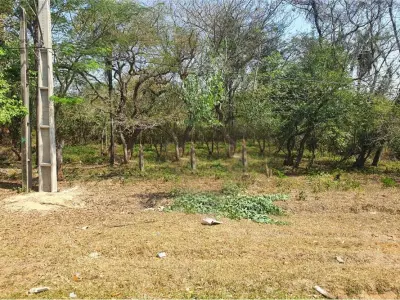 Terreno en venta en San Bernardino, Cordillera 3