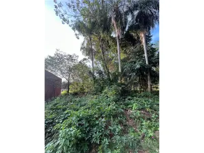 Terreno à venda em San Bernardino, Cordillera 3