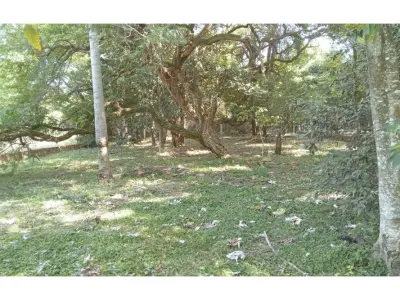 Land for sale in San Bernardino, Cordillera 4