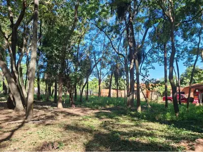 Land for sale in San Bernardino, Cordillera 2