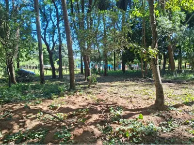 Land for sale in San Bernardino, Cordillera 3
