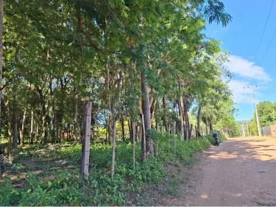 Land for sale in San Bernardino, Cordillera 4