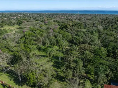 Land for sale in San Bernardino, Cordillera 2