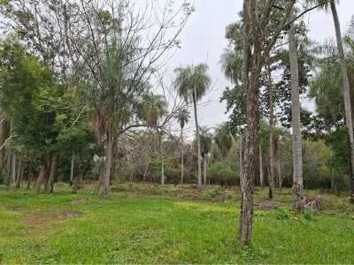 Land for sale in San Bernardino, Cordillera 4