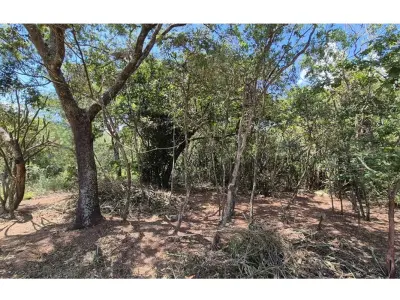 Terreno en venta en San Bernardino, Cordillera 2