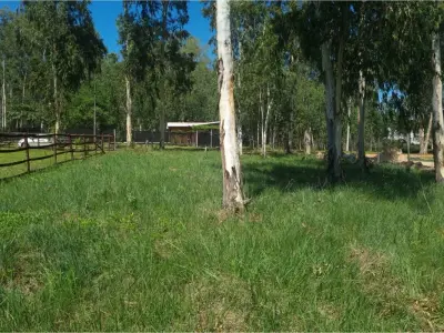 Terreno en venta en San Bernardino, Cordillera 4