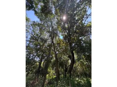 Terreno en venta en San Bernardino, Cordillera 2