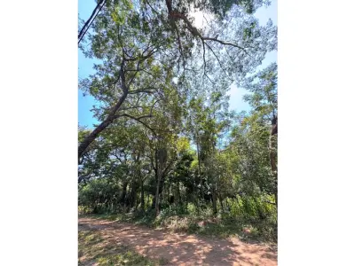Terreno en venta en San Bernardino, Cordillera 4