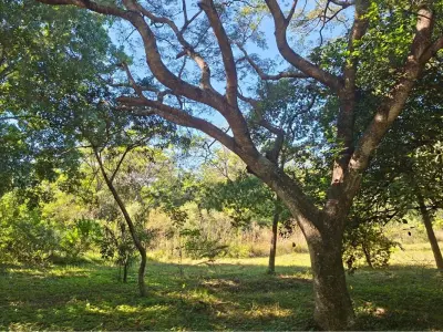 Terreno en venta en San Bernardino, Cordillera 2