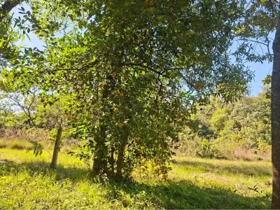 Terreno en venta en San Bernardino, Cordillera 4