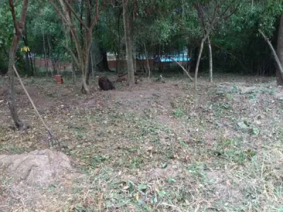 Land for sale in San Bernardino, Cordillera 3