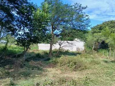 Terreno en venta en San Bernardino, Cordillera 4