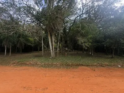 Terreno à venda em San Bernardino, Cordillera 4