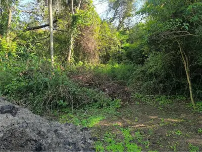Land for sale in San Bernardino, Cordillera 4