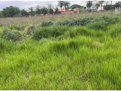 Terreno en venta en San Bernardino, Puerta del Lago 4