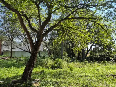 Terreno en venta en San Bernardino, Ybyanguy Primera 3