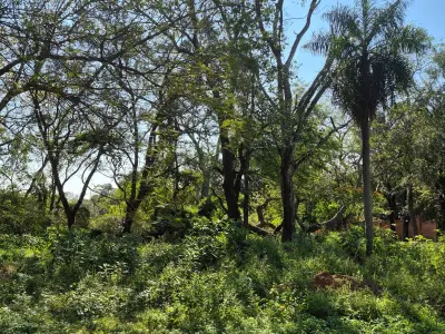 Terreno en venta en San Bernardino, Ybyanguy Primera 4