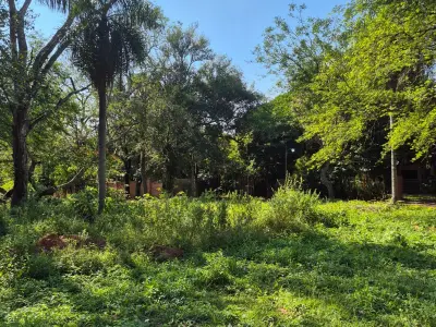 Terreno en venta en San Bernardino, Ybyanguy Primera 5