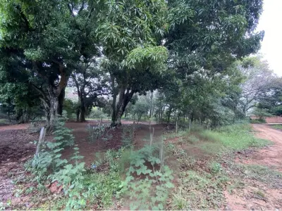 Land for sale in San Bernardino, Zona La Suiza 2 3