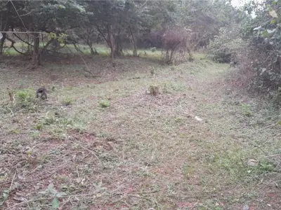 Terreno à venda em Itá, bairro San Blas 2