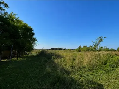 Terreno à venda em San Cayetano, Ypané 3