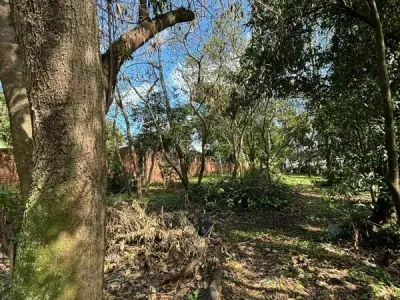 Land for Sale in San Estanislao, San Pedro 2