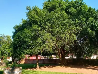 Terreno en venta en San Estanislao, San Pedro 4