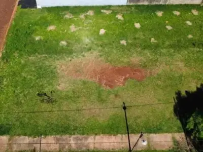 Land for sale in San Francisco, Cambyretá, Itapúa 2