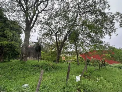 Terreno à venda em San Isidro, Lambaré 3