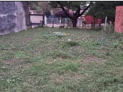 Land for sale in San Isidro, Lambaré 2