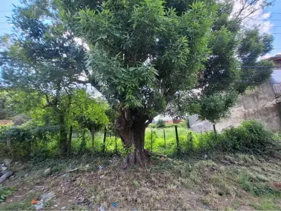 Land for sale in San Isidro, Lambaré 4