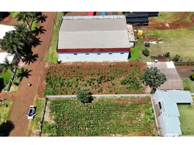 Land for sale in San José, Santa Rita, Alto Paraná 3