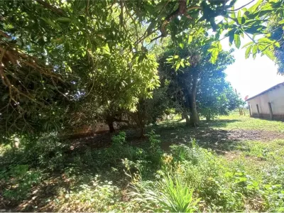 Land for sale in San Juan del Paraná with river view 3