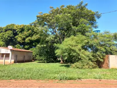 Land for sale in San Juan del Paraná with river view 4