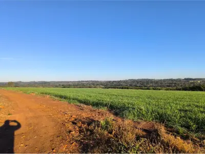 Land for sale in San Juan del Paraná, Itapúa 3