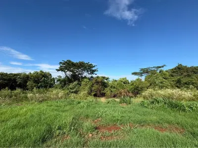 Terreno en venta en San Juan del Paraná, Itapúa 2